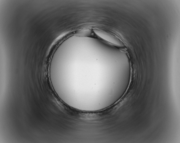 X0000084041164200703092025