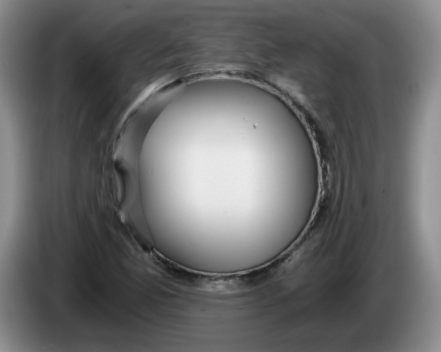 X0000084041165200703092025