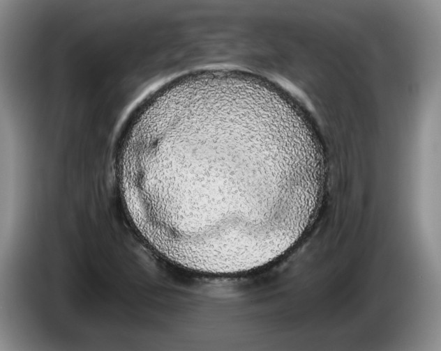 X0000084041167200703092025