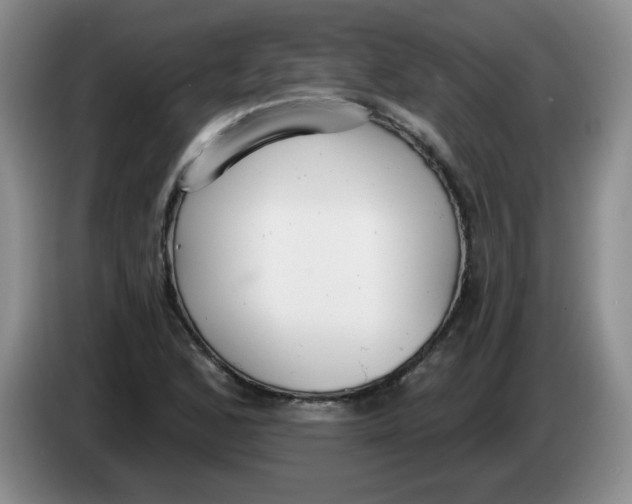 X0000084041168200703092025