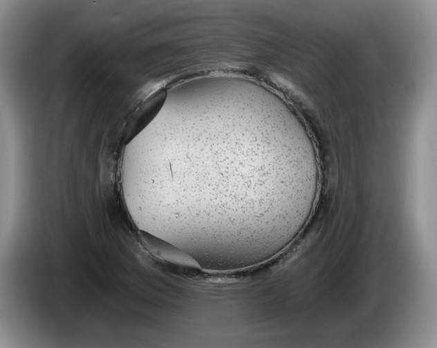 X0000084041169200703092025