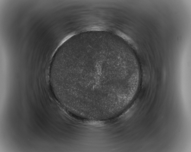 X0000084041170200703092025