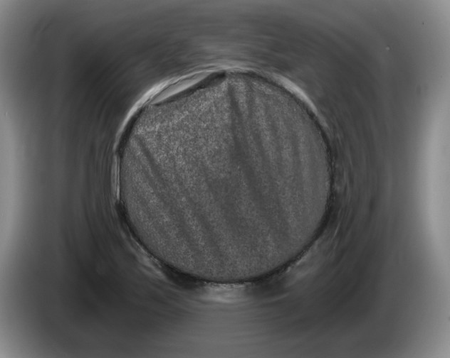 X0000084041171200703092025