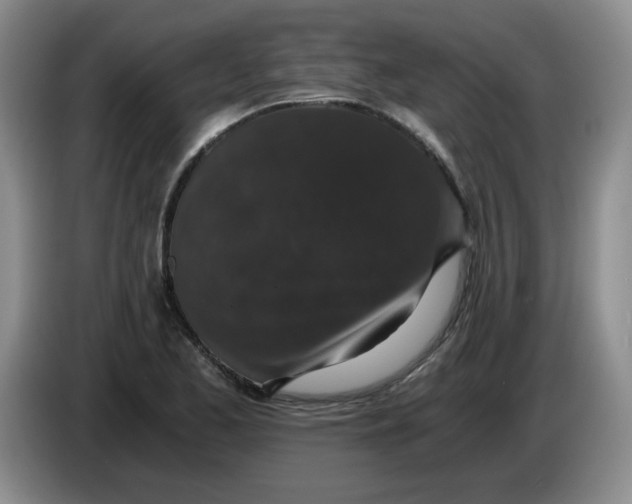 X0000084041173200703092025