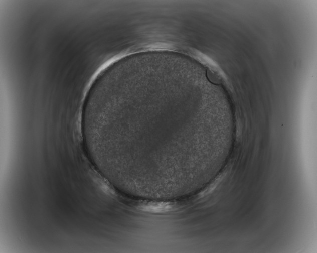 X0000084041174200703092025