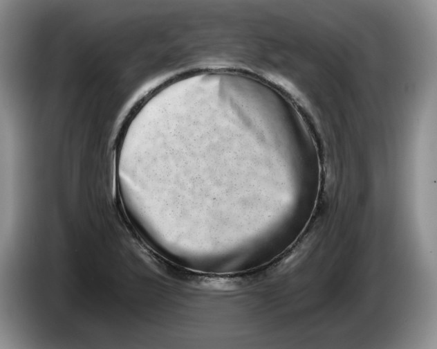 X0000084041175200703092025