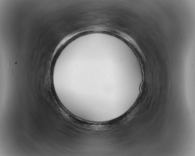 X0000084041176200703092025