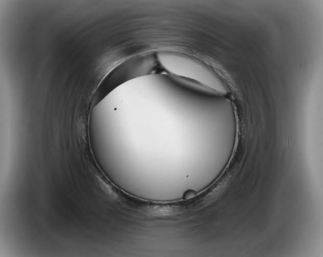 X0000084041177200703092025