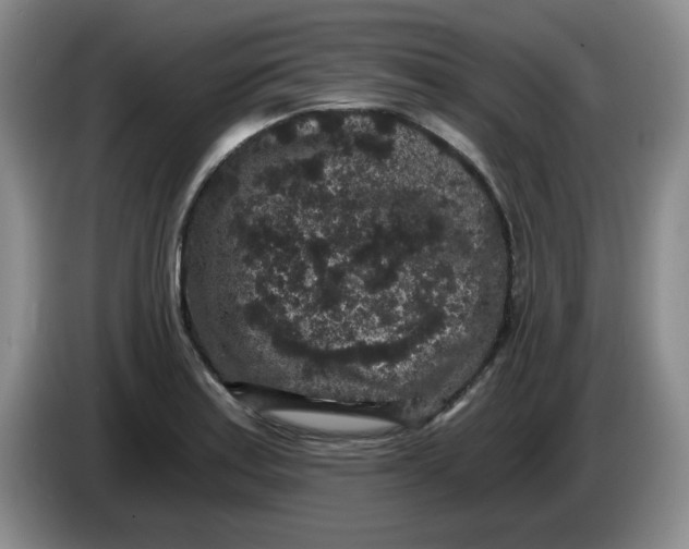 X0000084041179200703092025