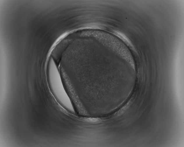 X0000084041180200703092025