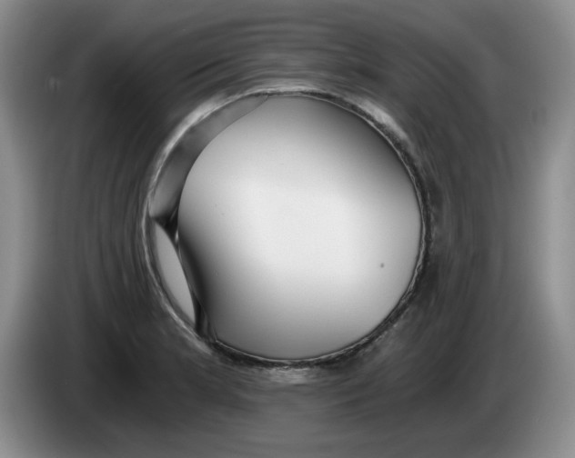 X0000084041181200703092025