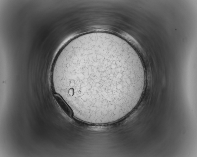 X0000084041182200703092025