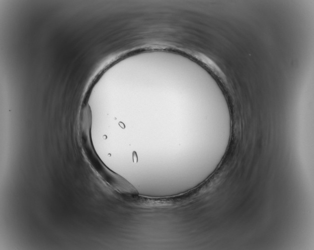 X0000084041183200703092025