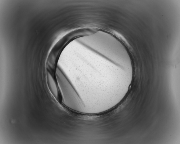 X0000084041184200703092025