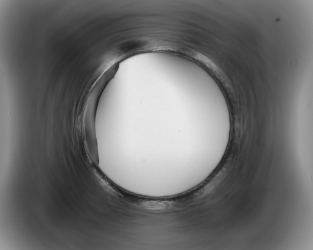 X0000084041185200703092025