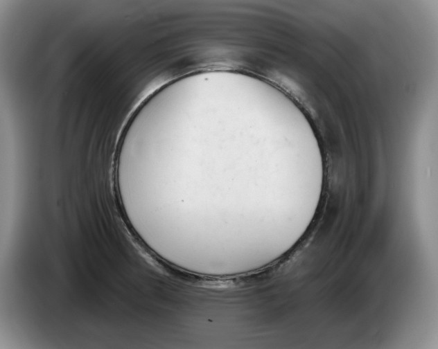 X0000084041186200703092025