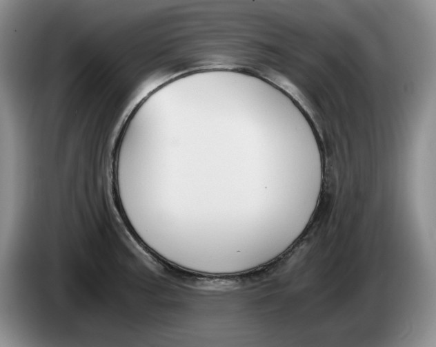 X0000084041187200703092025