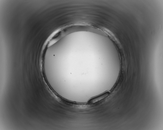 X0000084041188200703092025