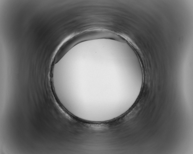 X0000084041189200703092025