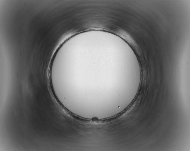 X0000084041190200703092025