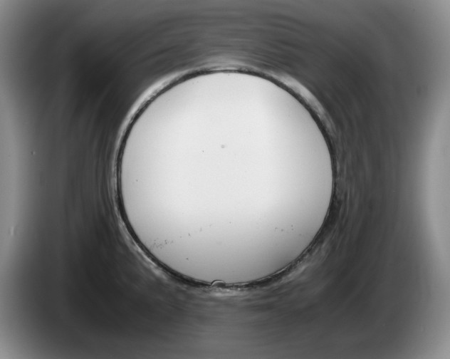 X0000084041191200703092025