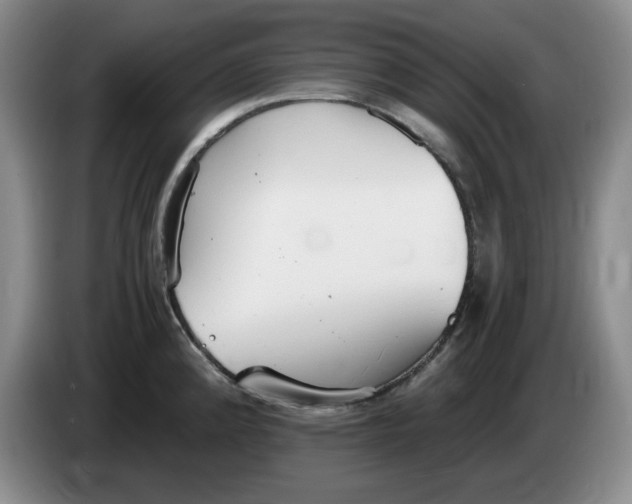 X0000084041192200703092025