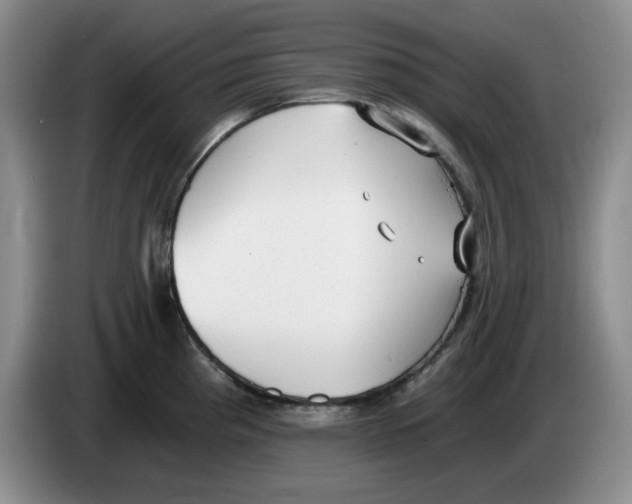 X0000084041193200703092025