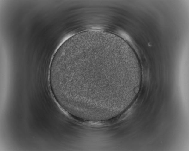 X0000084041194200703092025