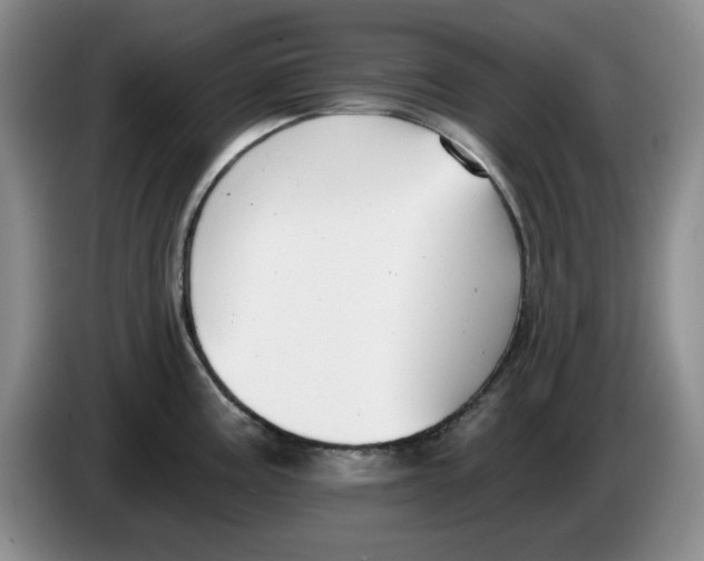 X0000084041195200703092025