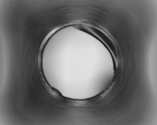 X0000084041196200703092025