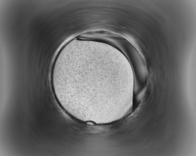 X0000084041197200703092025