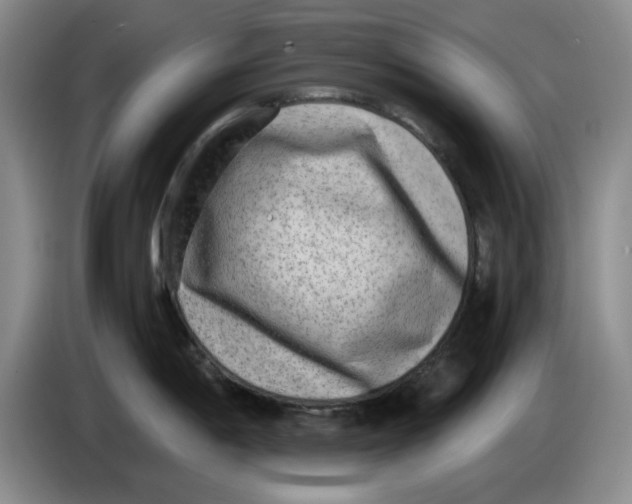 X0000084041198200703092025