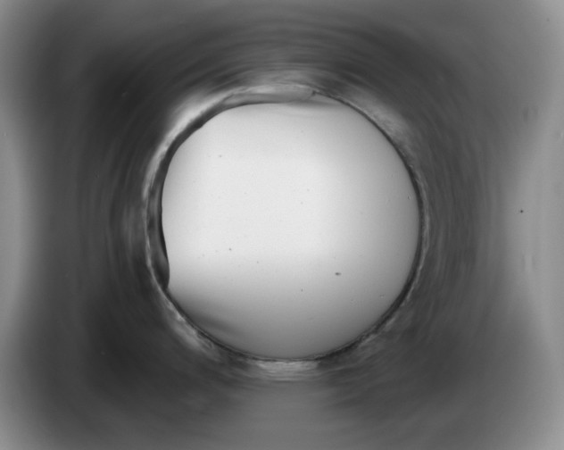 X0000084041200200703092025