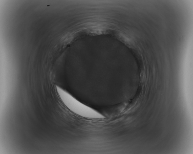 X0000084041202200703092024