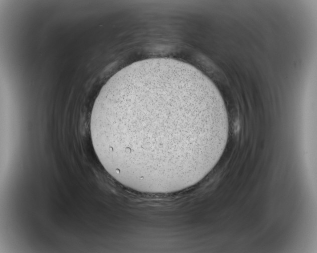 X0000084041204200703092024