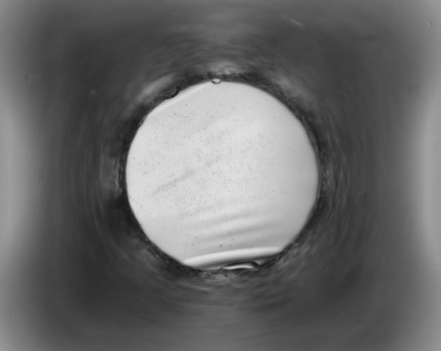 X0000084041205200703092024