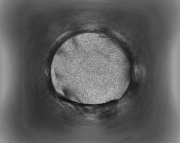 X0000084041206200703092024