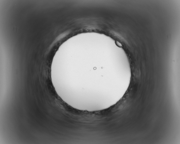 X0000084041207200703092024