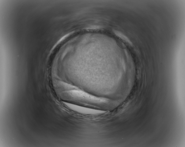 X0000084041208200703092024