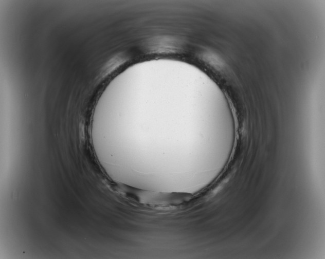 X0000084041209200703092024