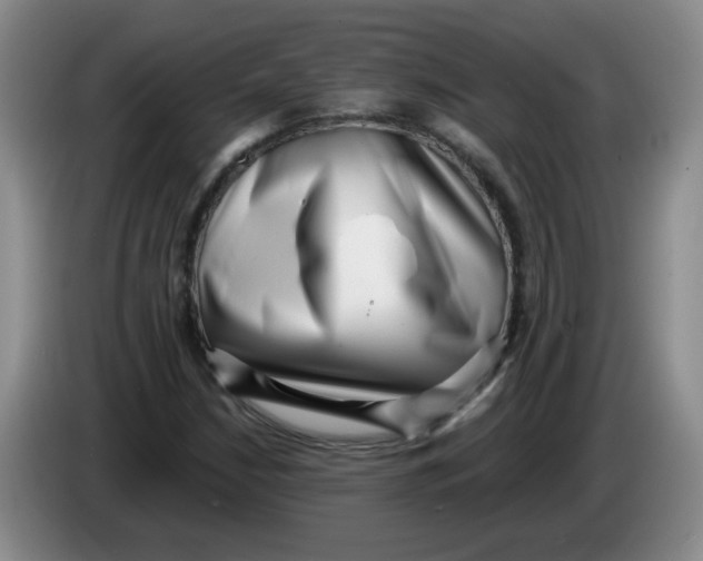 X0000084041210200703092024