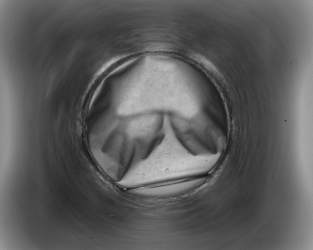 X0000084041212200703092024