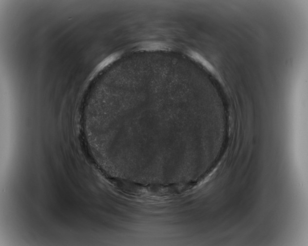 X0000084041213200703092024