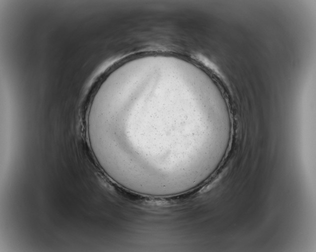 X0000084041215200703092024