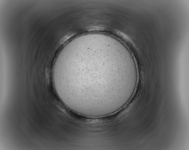 X0000084041217200703092024