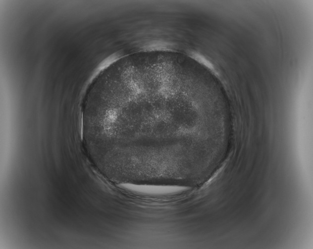 X0000084041219200703092024