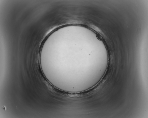 X0000084041220200703092024