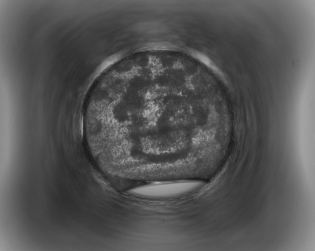 X0000084041221200703092024