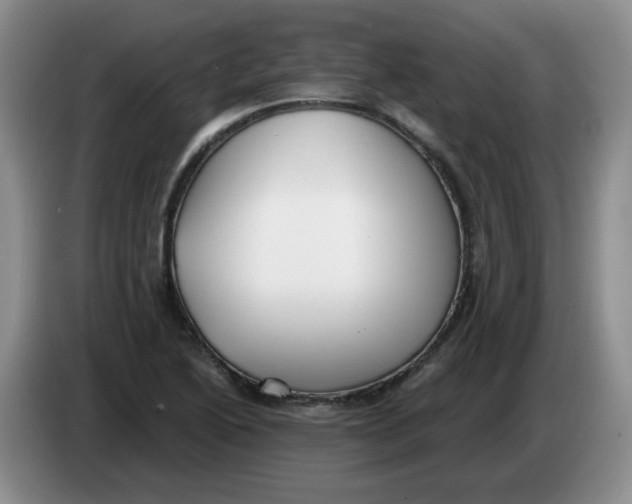 X0000084041222200703092024