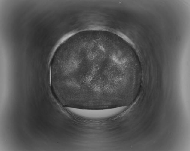 X0000084041223200703092024